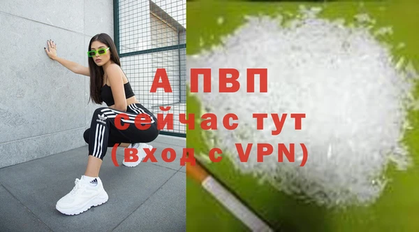 амф Вязьма